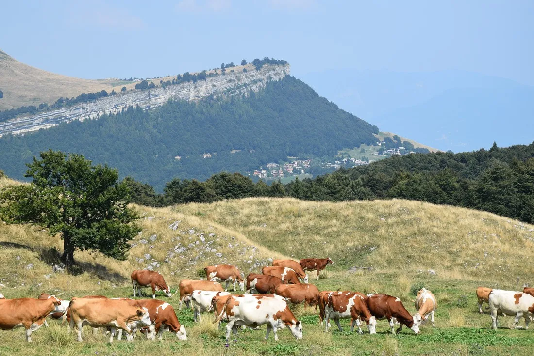 camping-villaggio-tiglio-sirmione-lago-di-garda-cid3b