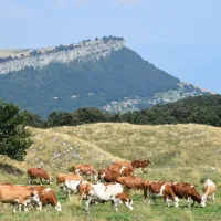 camping-villaggio-tiglio-sirmione-lago-di-garda-cid3b