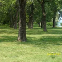 camping-villaggio-tiglio-sirmione-lago-di-garda-jhd5s