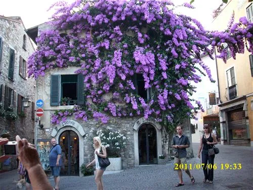 camping-villaggio-tiglio-sirmione-lago-di-garda-qqrjo