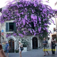 camping-villaggio-tiglio-sirmione-lago-di-garda-qqrjo