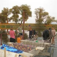 camping-aurel-vlaicu-aurel-vlaicu-jemco