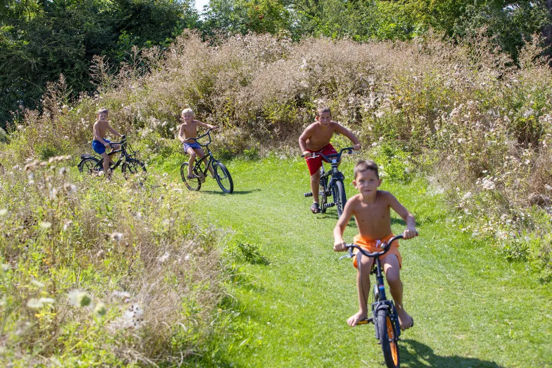 camping-de-rotonde-enspijk-sp5jd