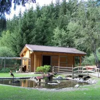camping-olympia-toblach-rxejp