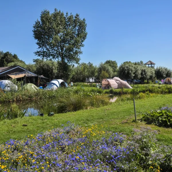 de-boerinn-kamerik-c0jg1