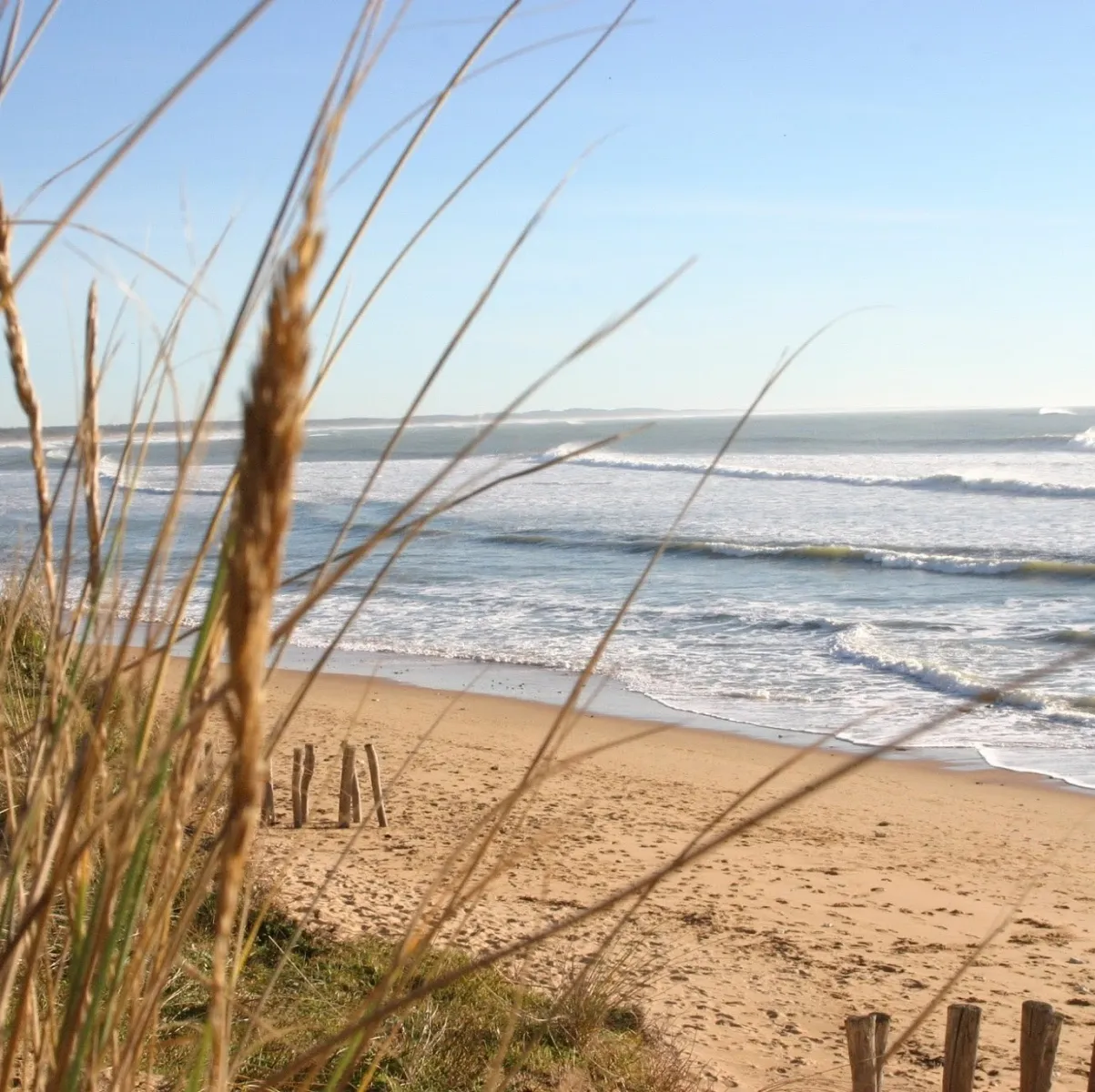 camping-le-montet-dolus-d-oleron-gmq1k