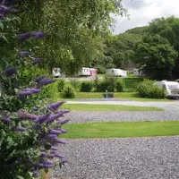 tyddyn-llwyn-holiday-park-porthmadog-ovm7b
