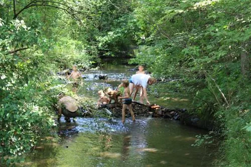 le-moulin-de-douzy-lesterps-fzshp