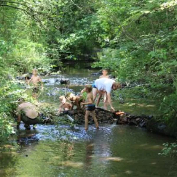 le-moulin-de-douzy-lesterps-fzshp