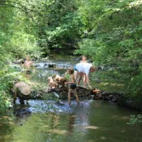 le-moulin-de-douzy-lesterps-fzshp