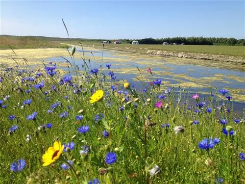 camping-callassande-callantsoog-liudv