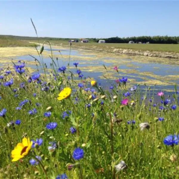 camping-callassande-callantsoog-liudv