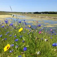 camping-callassande-callantsoog-liudv