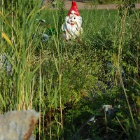 camping-sonnenland-freizeitpark-lutzmannsburg-kgaz4