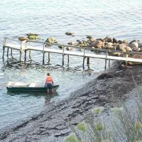 blushj-camping-ebeltoft-ebeltoft-vukn3