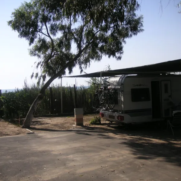 camping-palm-mar-guardamar-del-segura-0bkzv