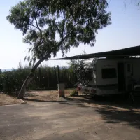 camping-palm-mar-guardamar-del-segura-0bkzv