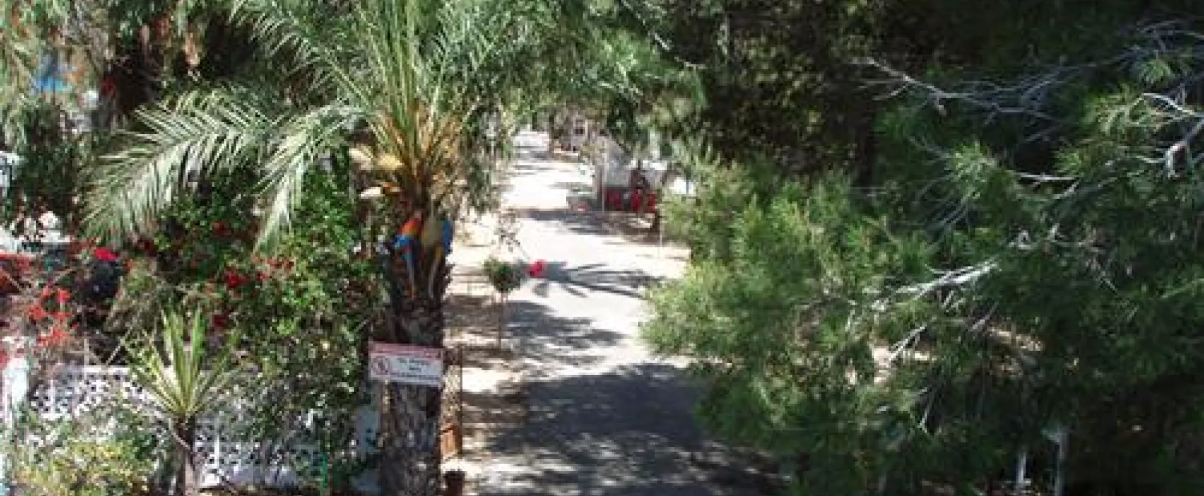 Camping Palm Mar