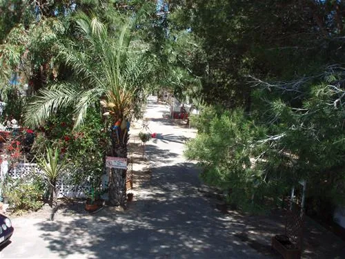 camping-palm-mar-guardamar-del-segura-1rgg7