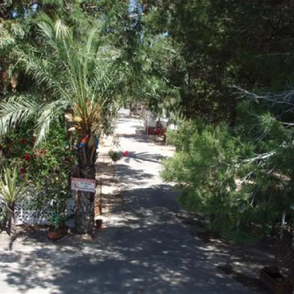 camping-palm-mar-guardamar-del-segura-1rgg7