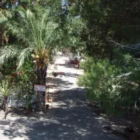 Camping Palm Mar