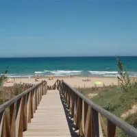 camping-palm-mar-guardamar-del-segura-3eoc4