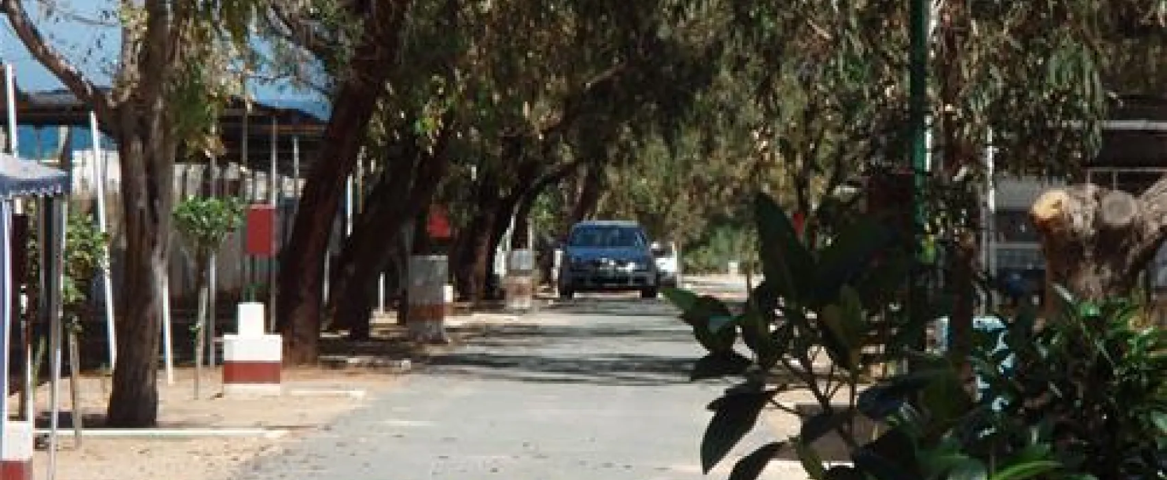 Camping Palm Mar