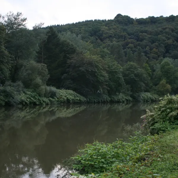 bad-ems-bad-ems-ehknz