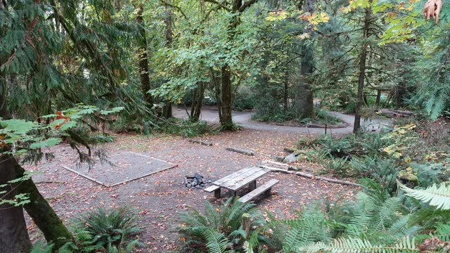 falls-creek-campground-quinault-6w0j1