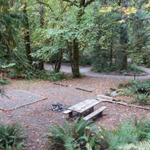 falls-creek-campground-quinault-6w0j1