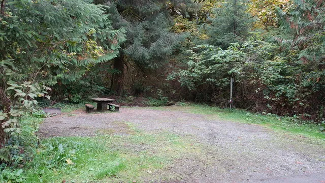 falls-creek-campground-quinault-u3dnc