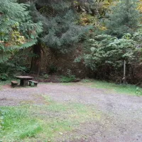 falls-creek-campground-quinault-u3dnc