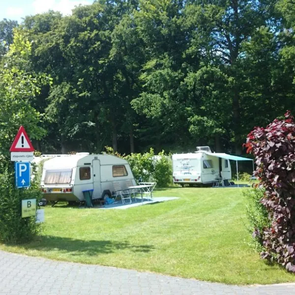 t-meulenbrugge-vorden-h80am