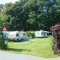 t-meulenbrugge-vorden-h80am