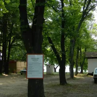 camping-ljubacevac-ljubacevac-3acmp