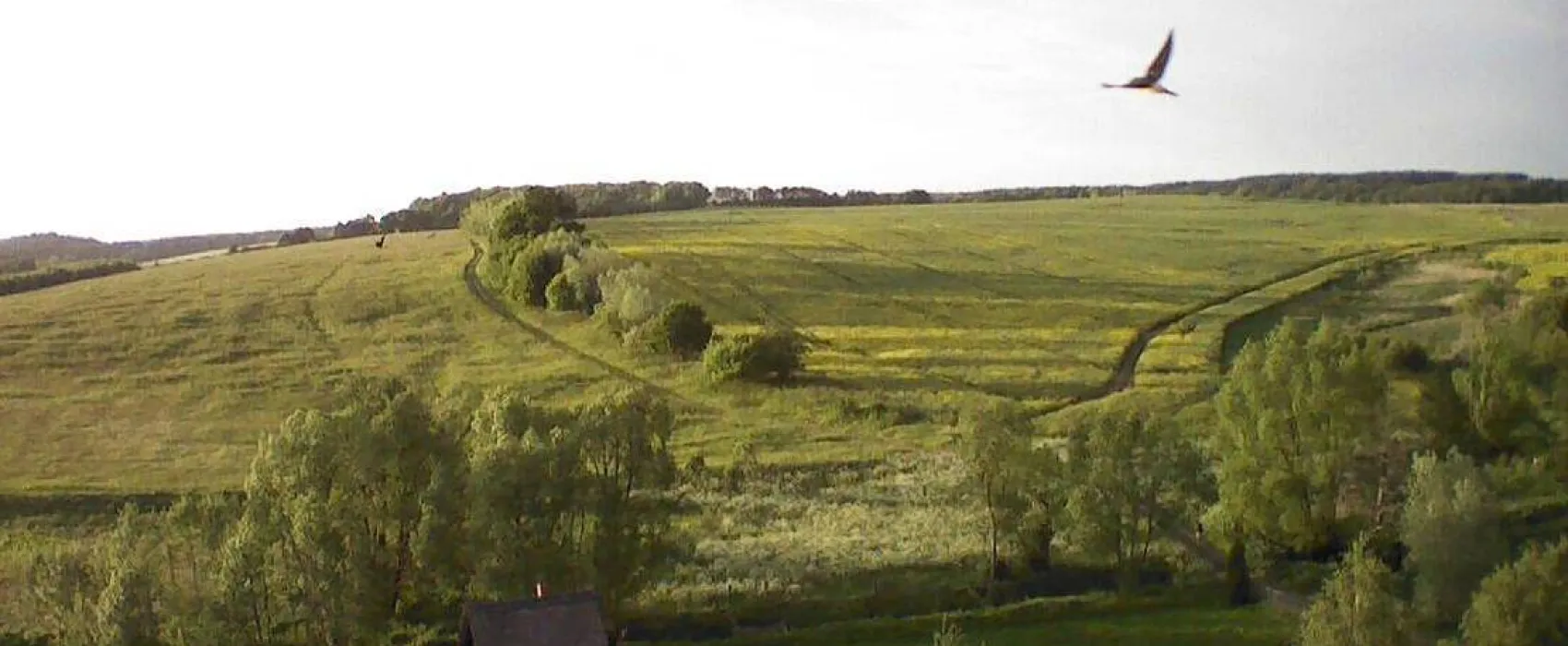 Rancho Annabella