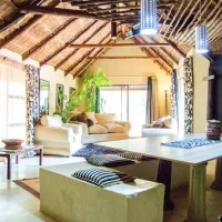 shangrila-innibos-old-rustenburg-road-r104-zandfontein-yzxnn