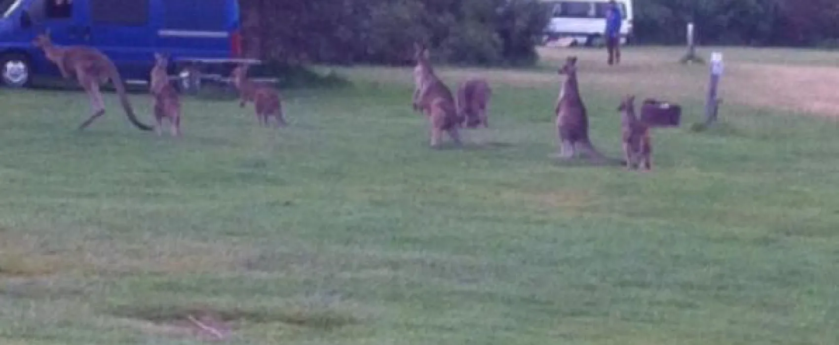 Princetown Recreation Reserve Campground