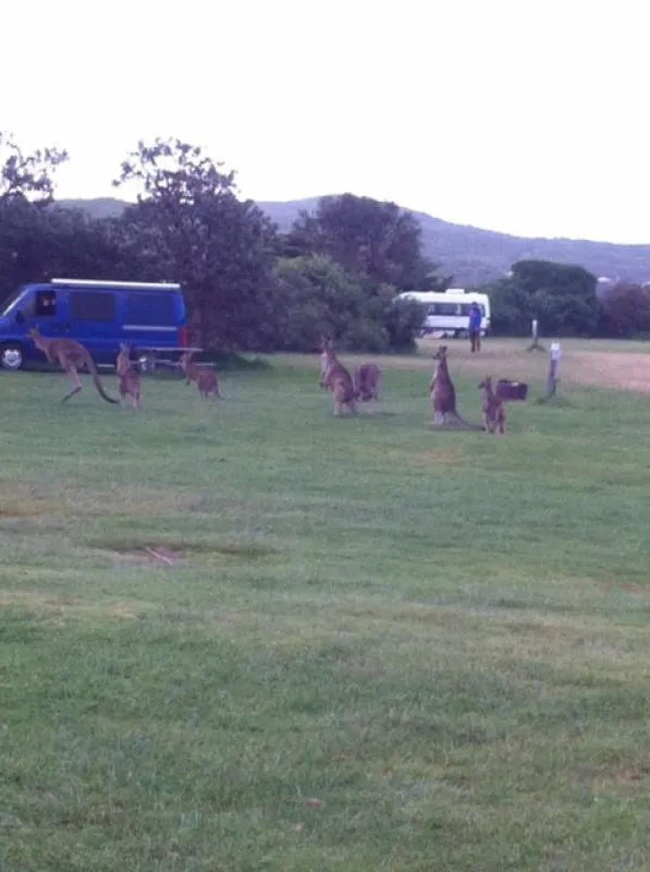 princetown-recreation-reserve-campground-princetown-eyatu