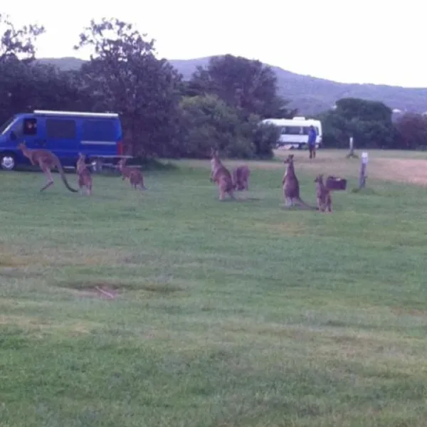 Princetown Recreation Reserve Campground