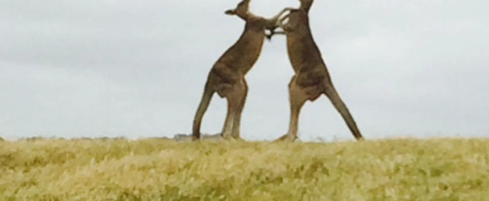 Princetown Recreation Reserve Campground