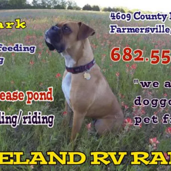lakeland-rv-ranch-farmersville-vqr8z