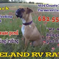 lakeland-rv-ranch-farmersville-vqr8z