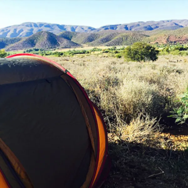the-travelling-tortoise-campsites-de-rust-62yqa