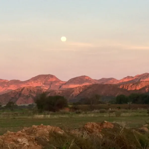 the-travelling-tortoise-campsites-de-rust-kgxx4