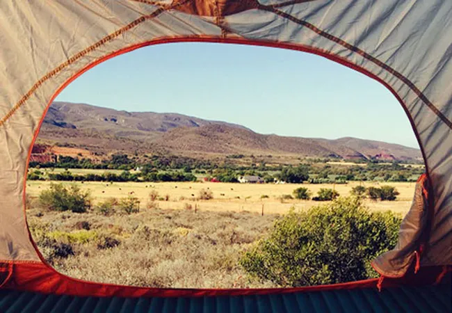 the-travelling-tortoise-campsites-de-rust-mj5di