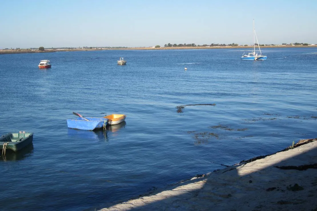 huttopia-noirmoutier-noirmoutier-en-lile-lqfi7