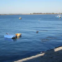 huttopia-noirmoutier-noirmoutier-en-lile-lqfi7