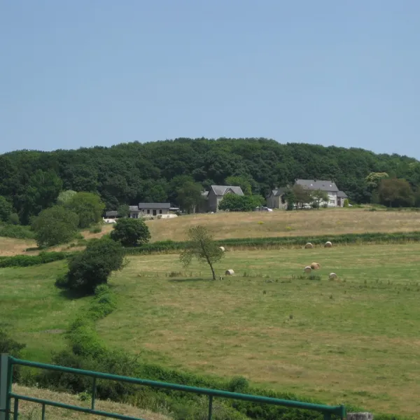 chateau-de-satenot-ternant-i76qs