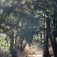 glen-davis-park-campground-glen-davis-ht24z